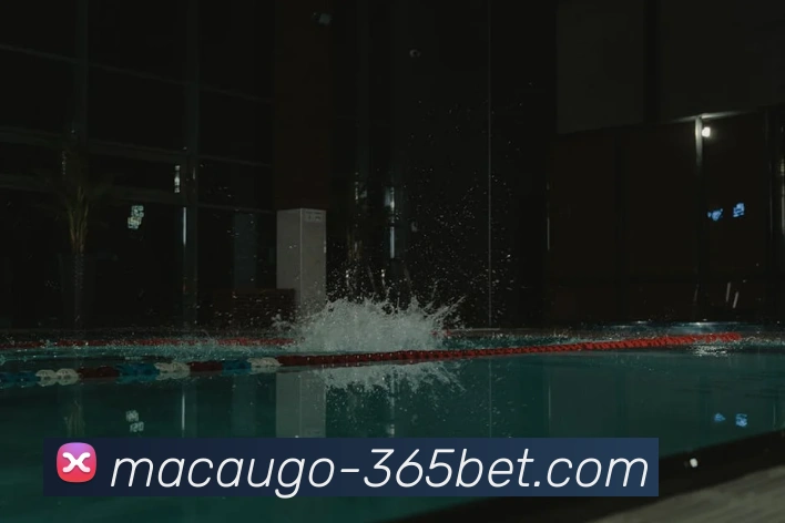 365bet平台生态图